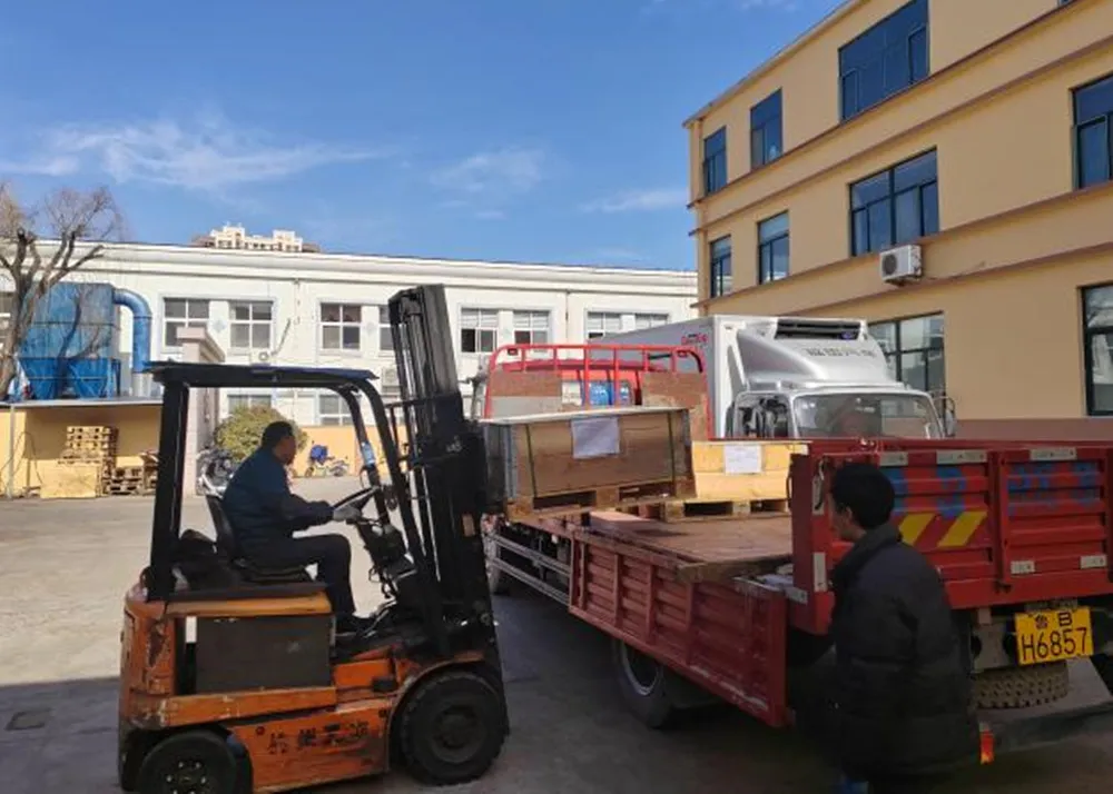 Expediere a produsului nou